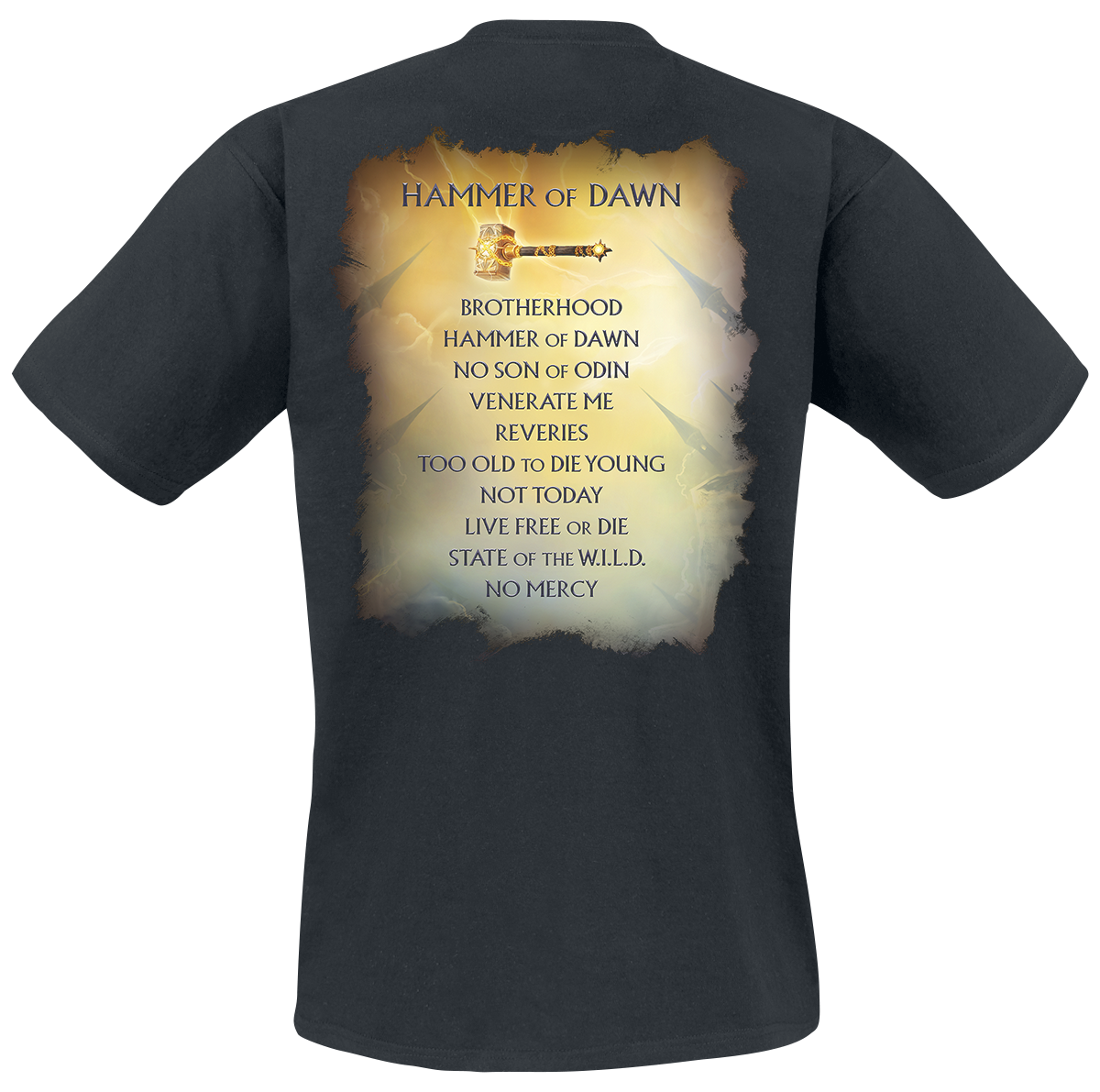 Hammerfall Hammer of dawn T-Shirt black - Image 3