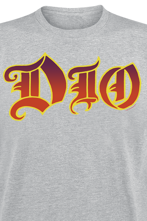 Dio Logo T-Shirt grey - Image 3