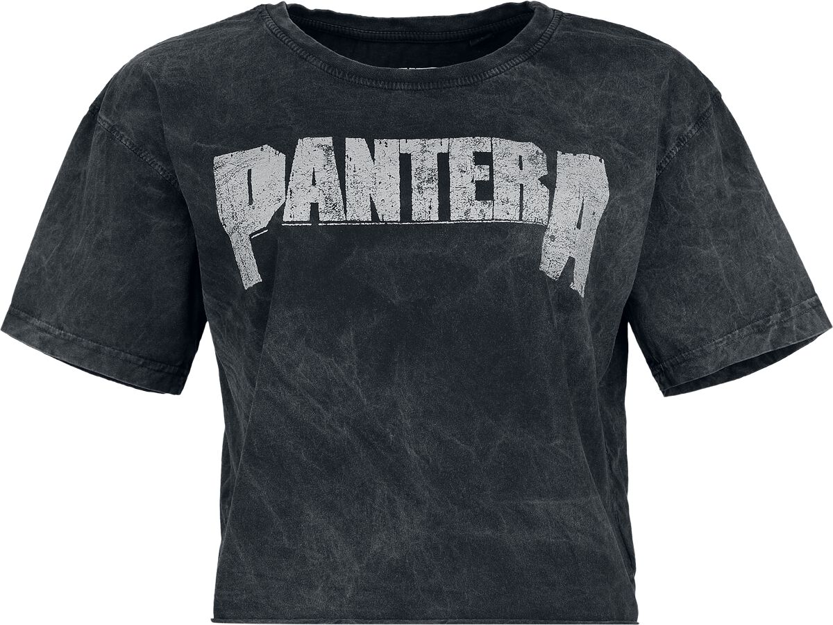 Pantera Logo T-Shirt black - Image 2