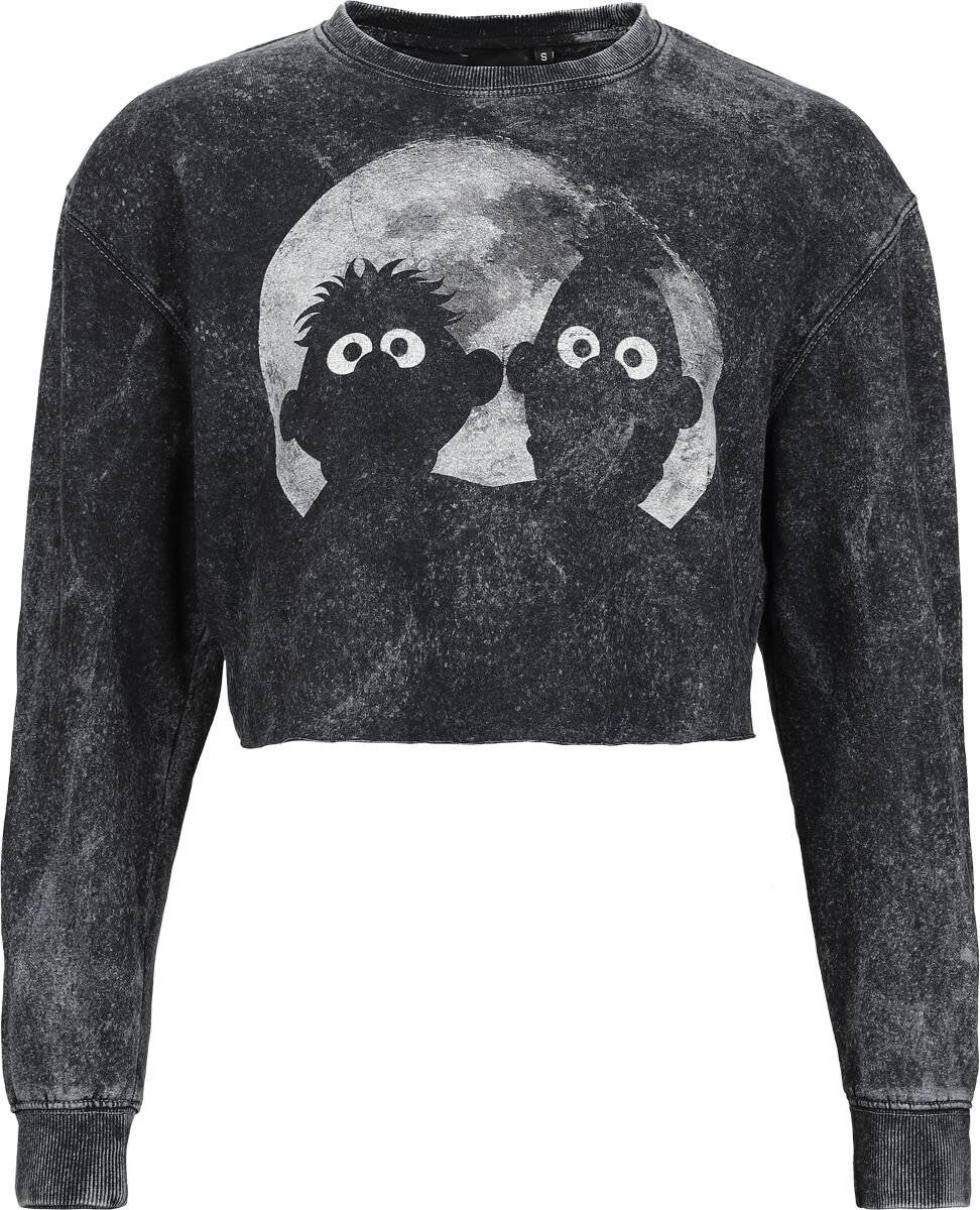 Sesame Street Ernie and Bert - Moonlight Sweatshirt grey - Image 2