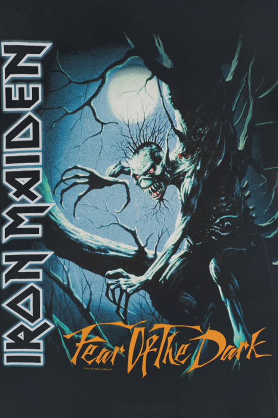 Iron Maiden Fear Of The Dark - Heavyweight T-Shirt black - Image 3