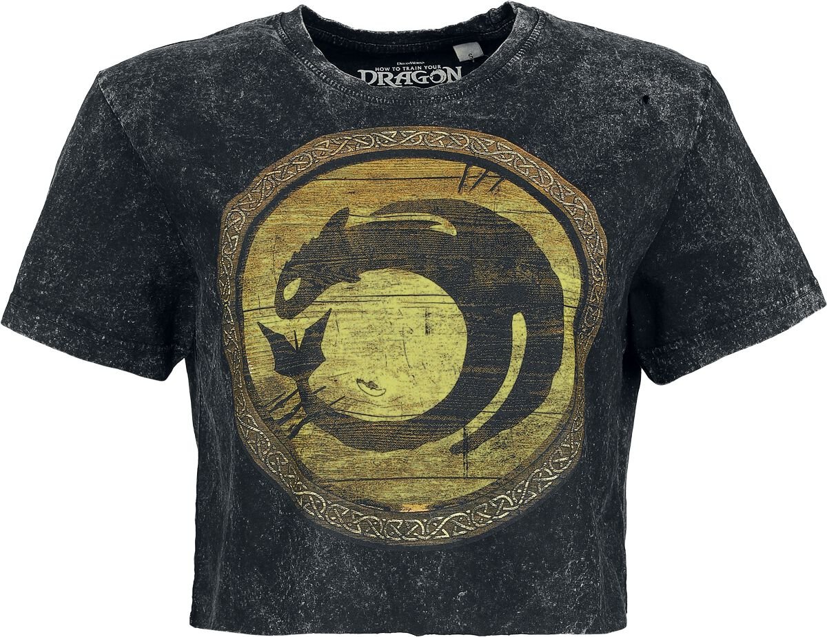 How to Train Your Dragon Dragons - Circle Gold T-Shirt black - Image 2