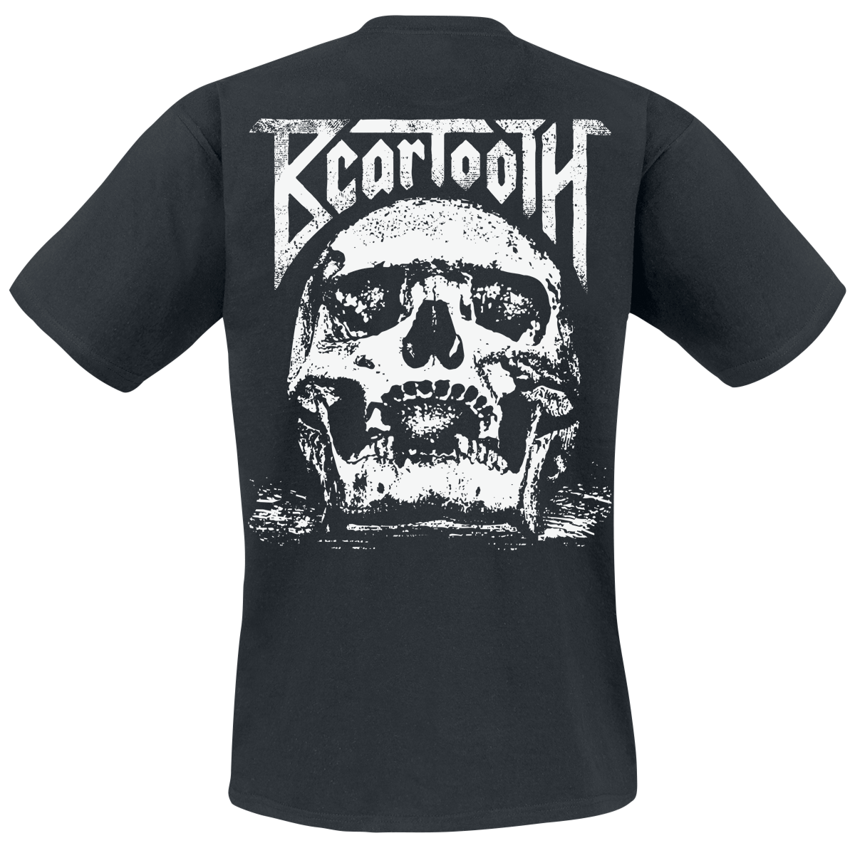 Beartooth Skull T-Shirt black - Image 3