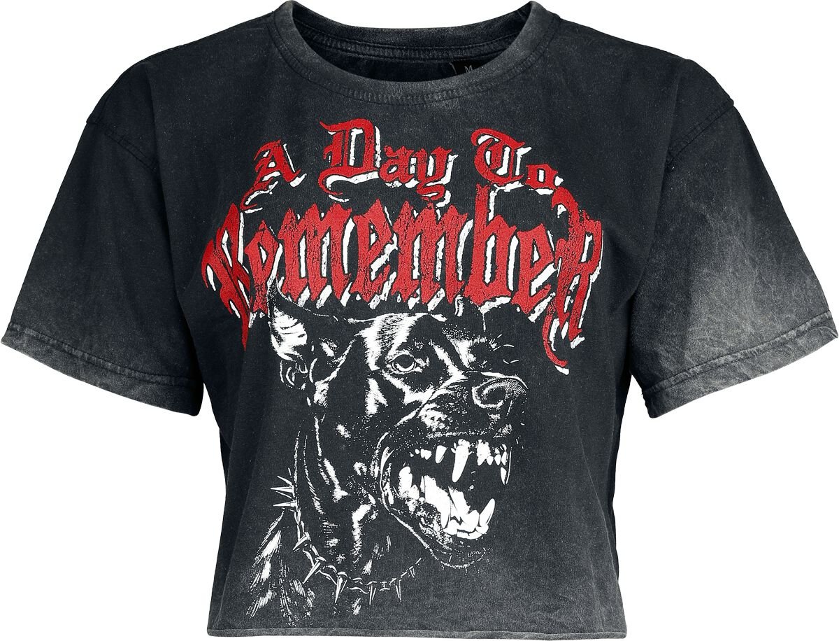 A Day To Remember Hound T-Shirt grey - Image 2